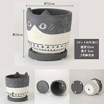 Amazon.co.jp: SPICE OF LIFE(スパイス) 植木鉢 アニマル